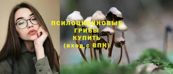 дмт Балабаново