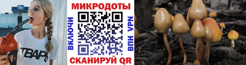 Галлюциногенные грибы GOLDEN TEACHER Верхняя Пышма
