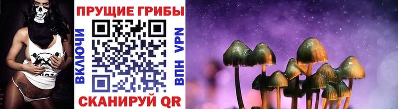 Псилоцибиновые грибы прущие грибы  Купить где  Верхняя Пышма 